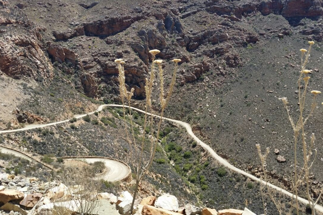 into NATURE excursions-乔治必去景点