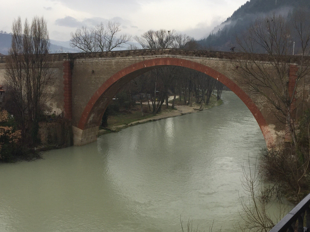 Ponte della Concordia景点图片
