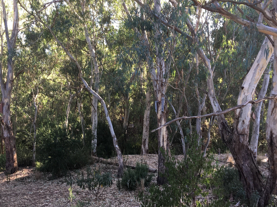 Burke rd billabong reserve-Kew East必去景点
