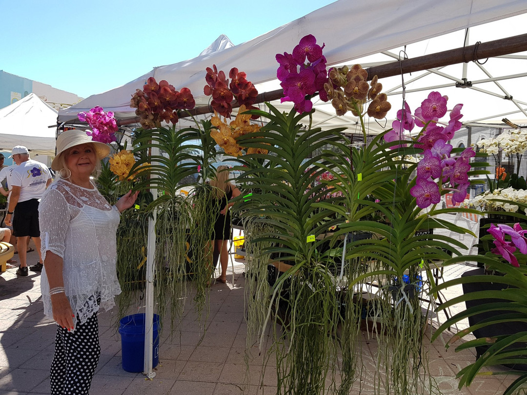 West Palm Beach Greenmarket景点图片
