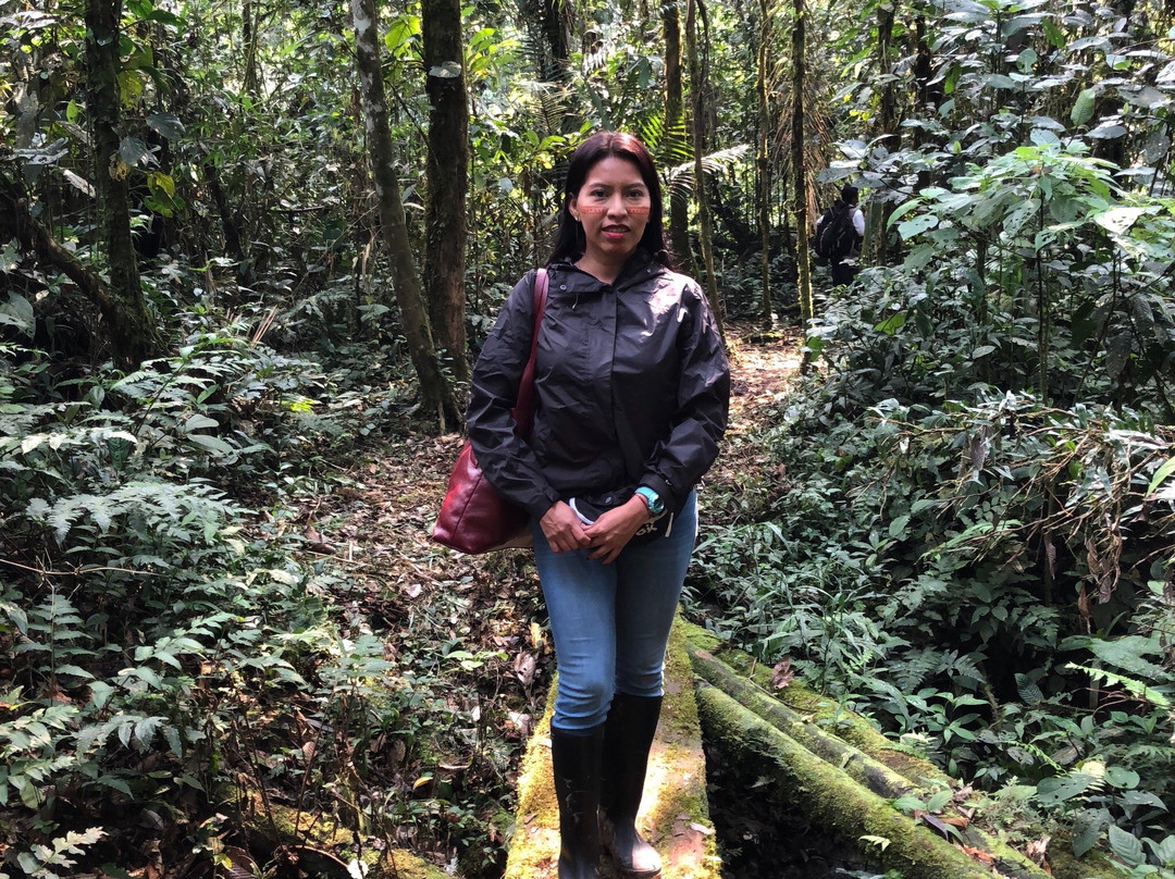 Parque Etnobotanico Omaere-Puyo必去景点