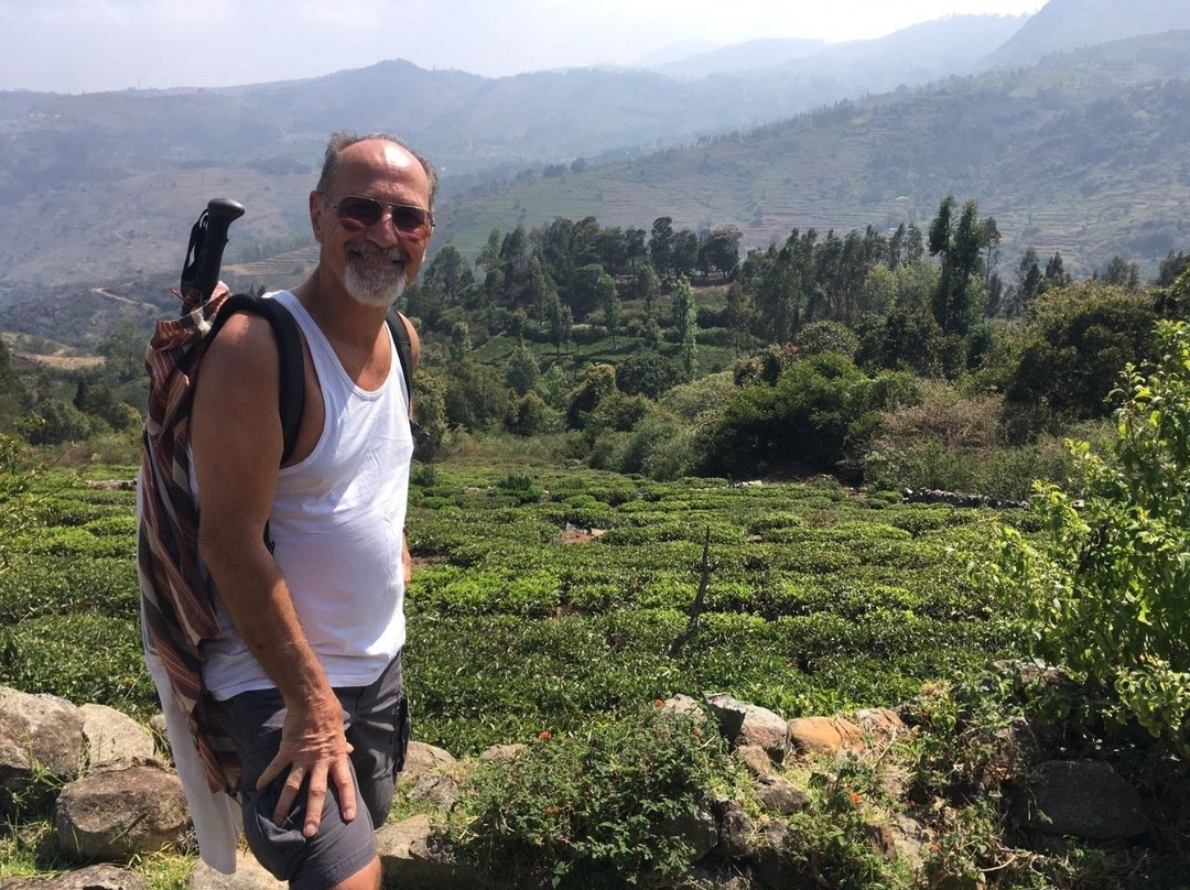 Wild Horizon Retreat主图