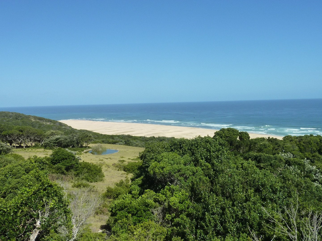 Oceana Beach and Wildlife Reserve主图