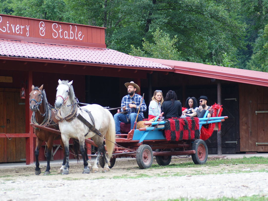 Linden Tree Retreat & Ranch - Private Day Tours景点图片