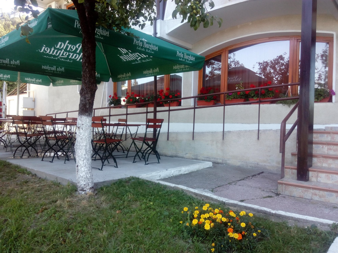 Vulpuesti酒店住宿-Hotel Panoramic