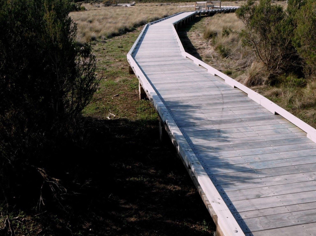 Scenic Estate Conservation Reserve-菲利普岛必去景点