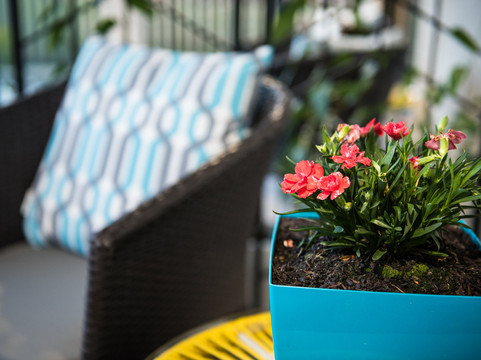 惠灵顿住宿加早餐旅馆主图