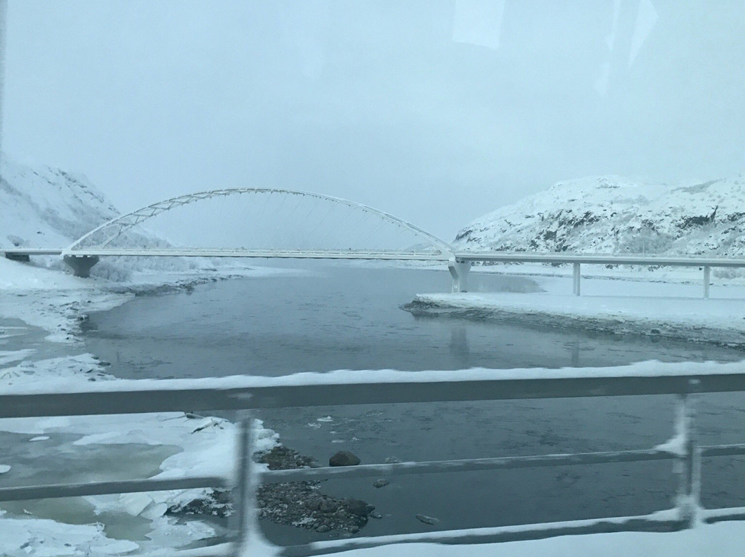 Pasvik Turist Day Tours-希尔克内斯必去景点