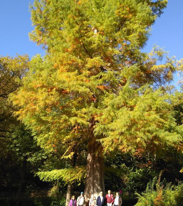 Baztan Tours-Elizondo必去景点
