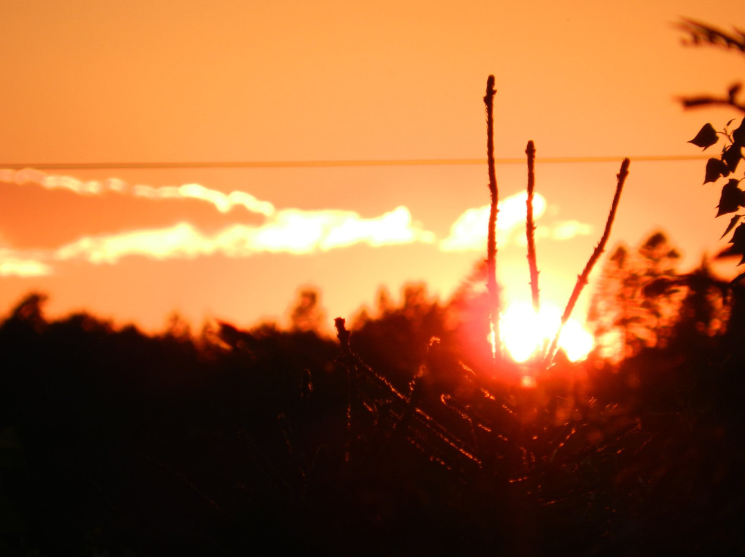 La Maison de l'Irlandais主图