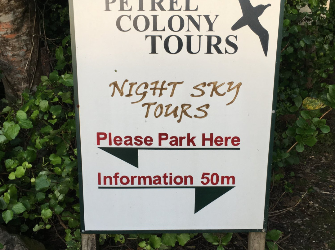 Petrel Colony Tours-普纳凯基必去景点