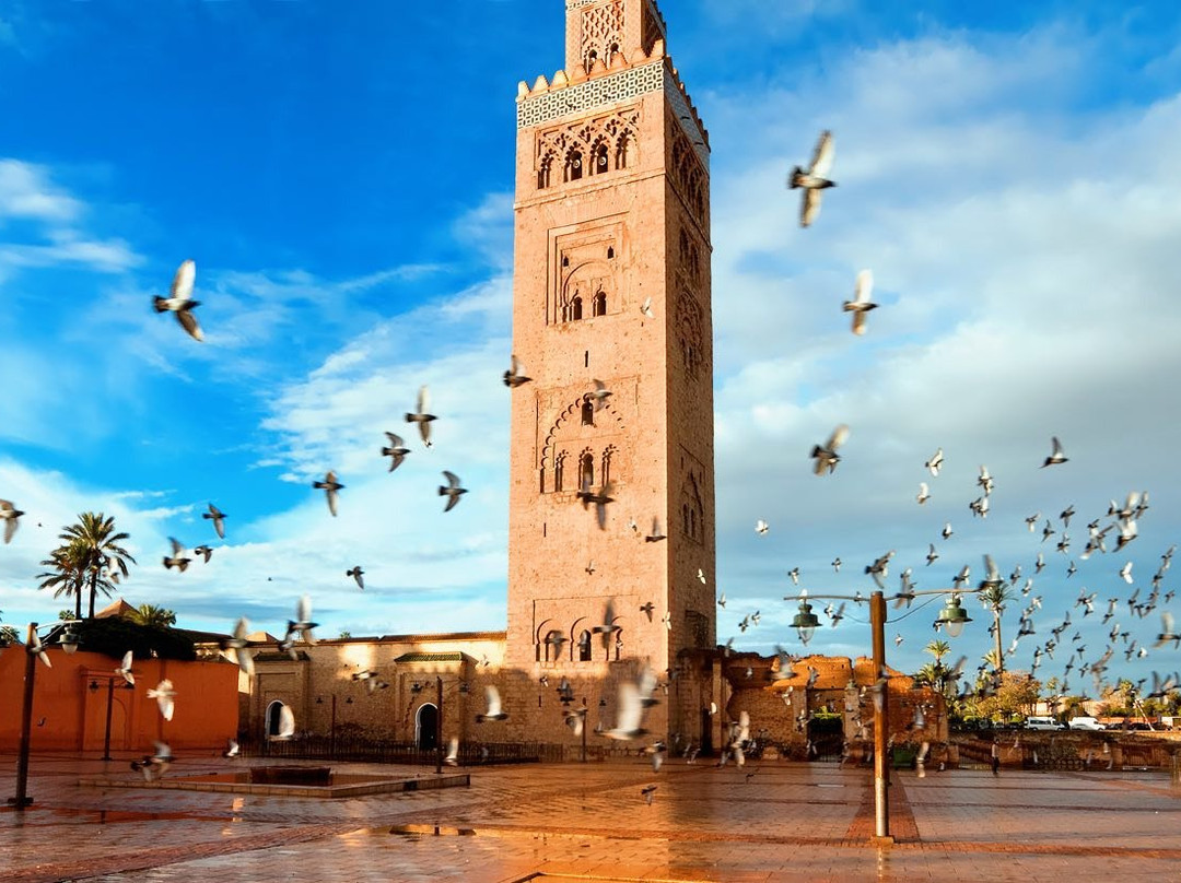 Uniquely Morocco景点图片