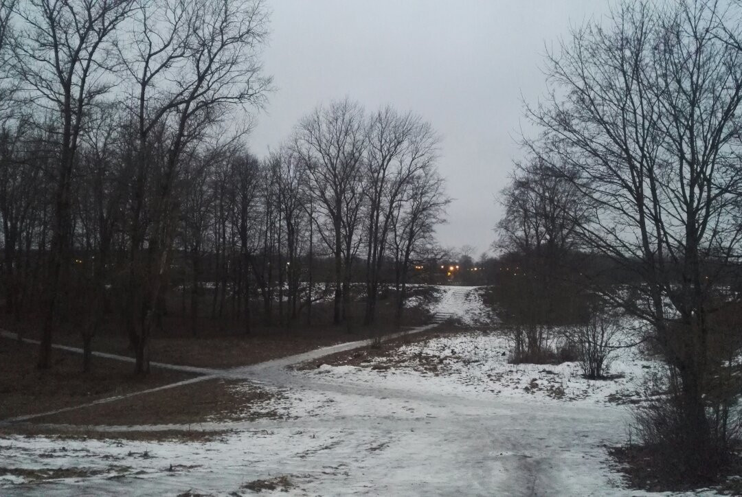Park Letniy Sad景点图片