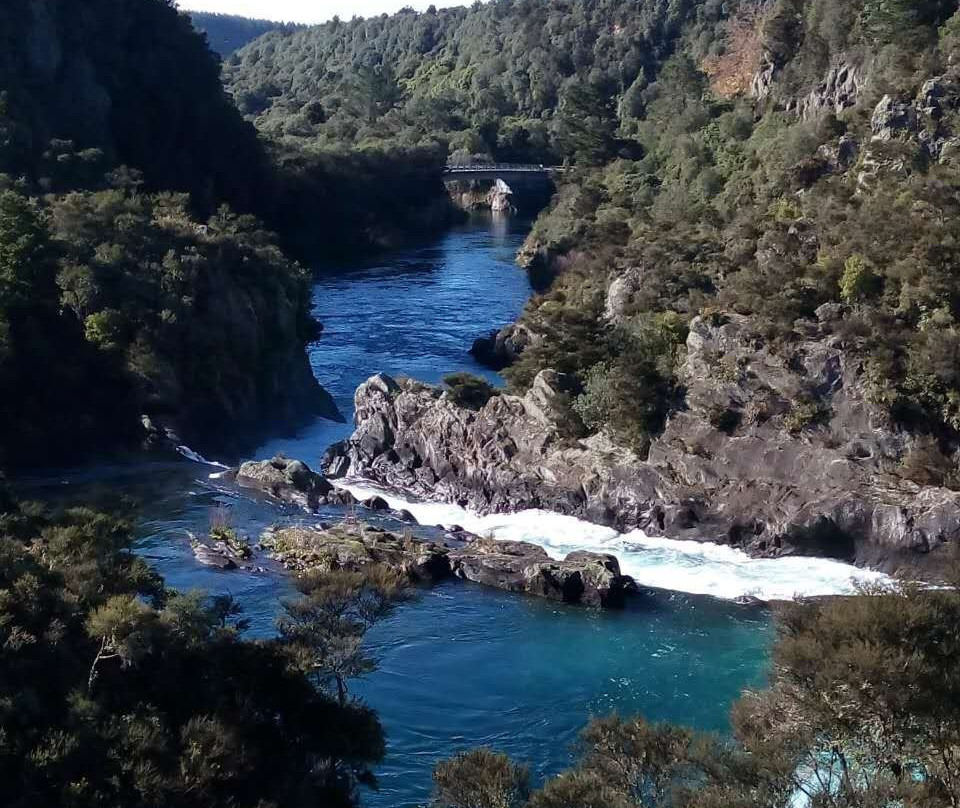 Real Kiwi Tours景点图片