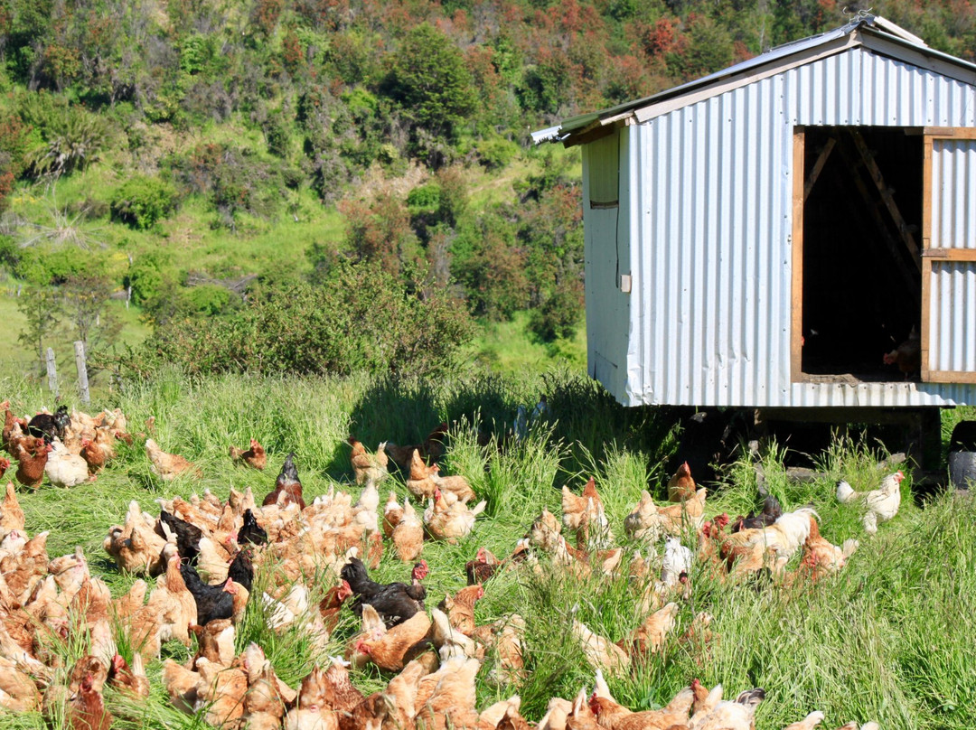 Fundo Panguilemu-Coyhaique必去景点