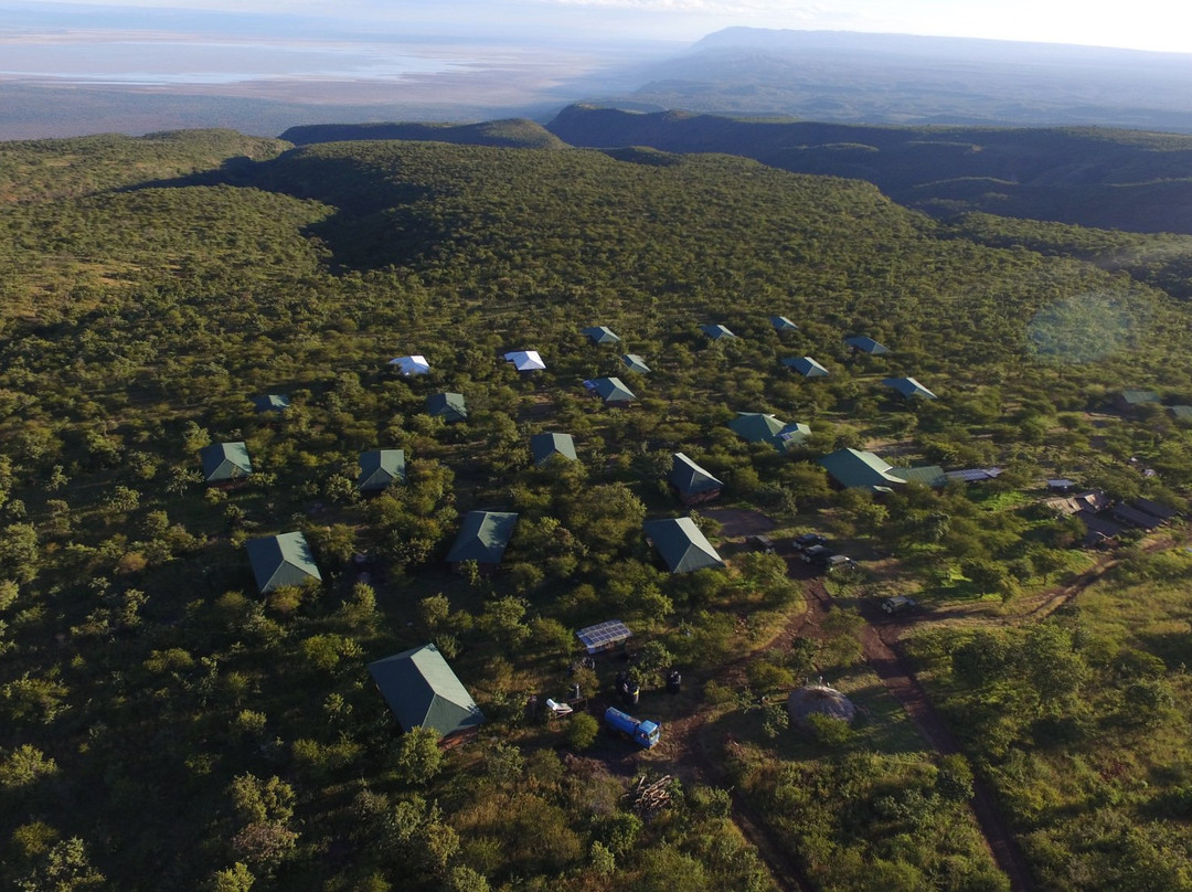 Ngorongoro Lodge & Campsite主图