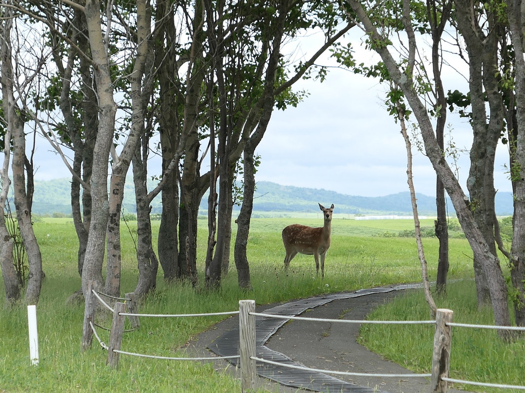 Meguma Primeval Garden-稚内市必去景点