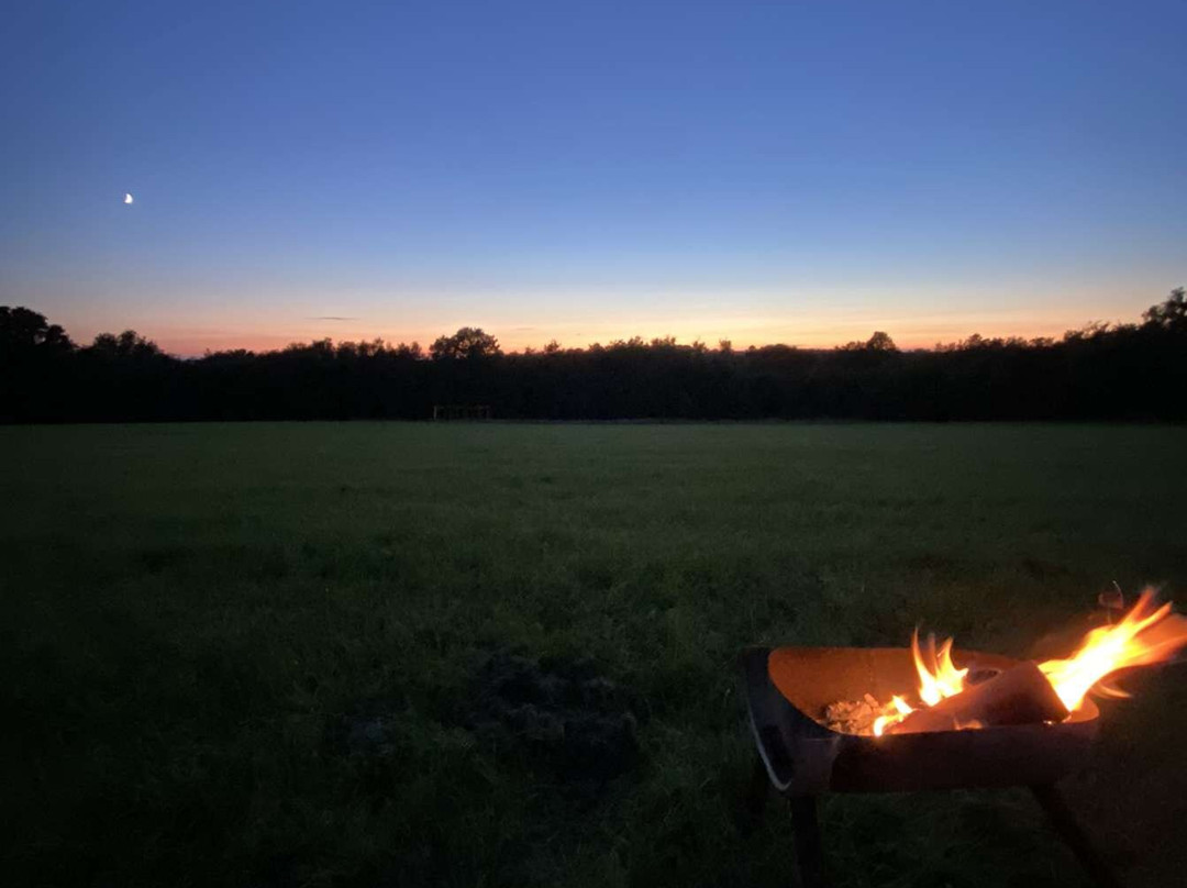 Glassenbury Camping