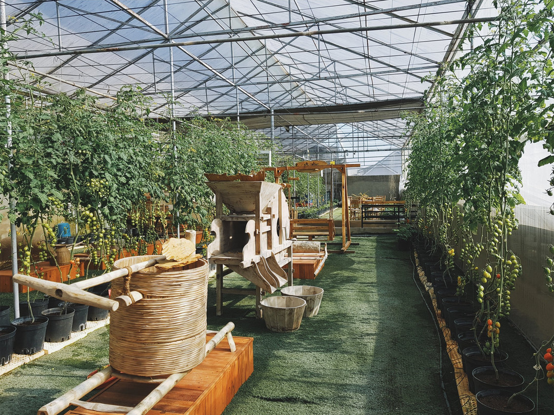 Cu Lan餐馆和美食-Green Box