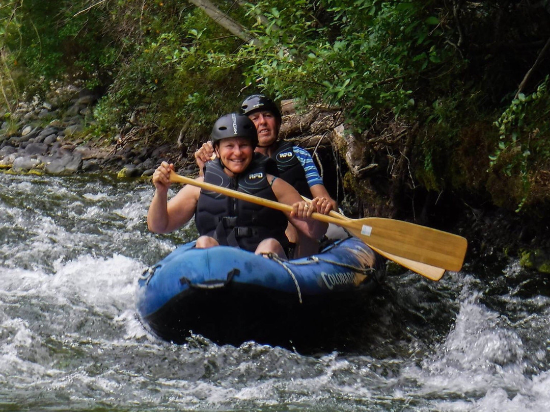 Pelorus Eco Adventures景点图片