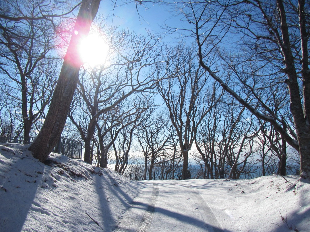 Kannonyama Park-样似町必去景点