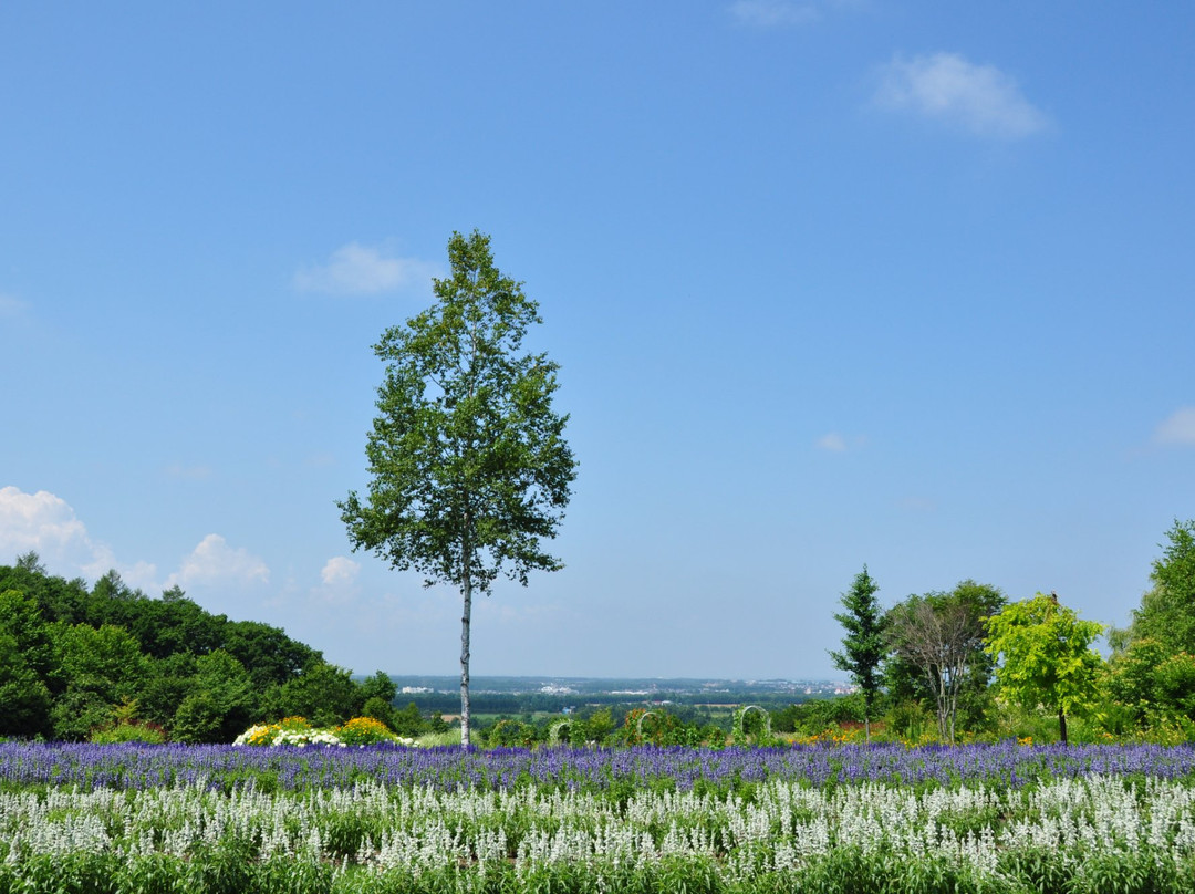 Tokachi Hills-幕别町必去景点