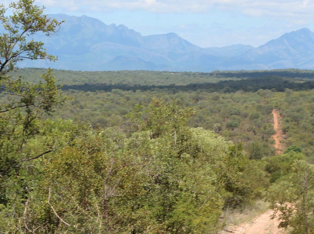 Siyafunda Wildlife & Conservation-霍德斯普鲁特必去景点