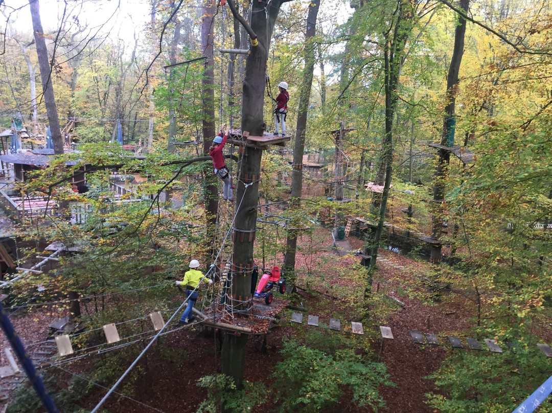 Fun Forest Abenteuerpark Kandel景点图片