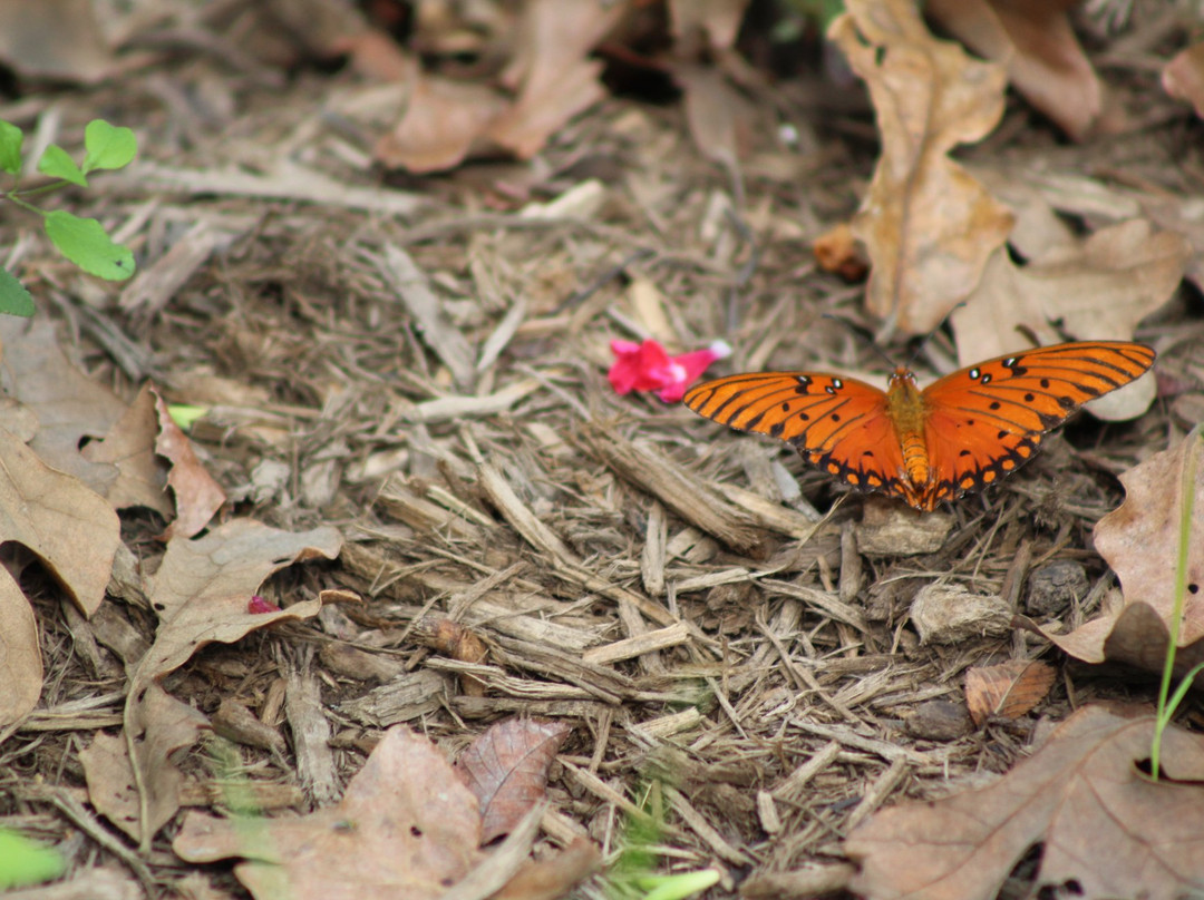 Lick Creek Trail-大学城必去景点