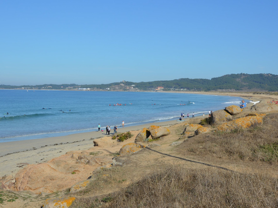 Playa Area Grande-El Grove必去景点