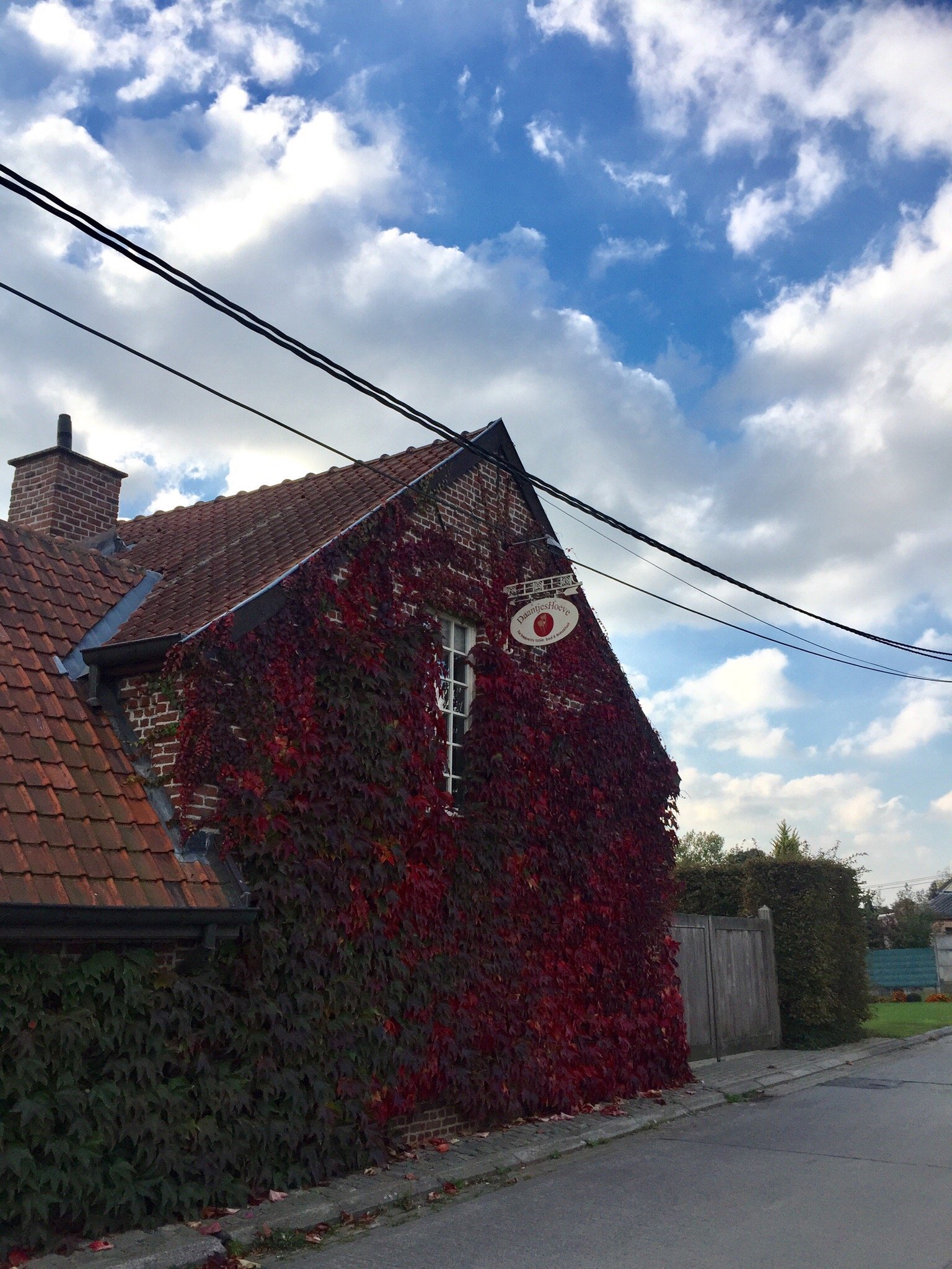 Daantjes Hoeve B&B-官方