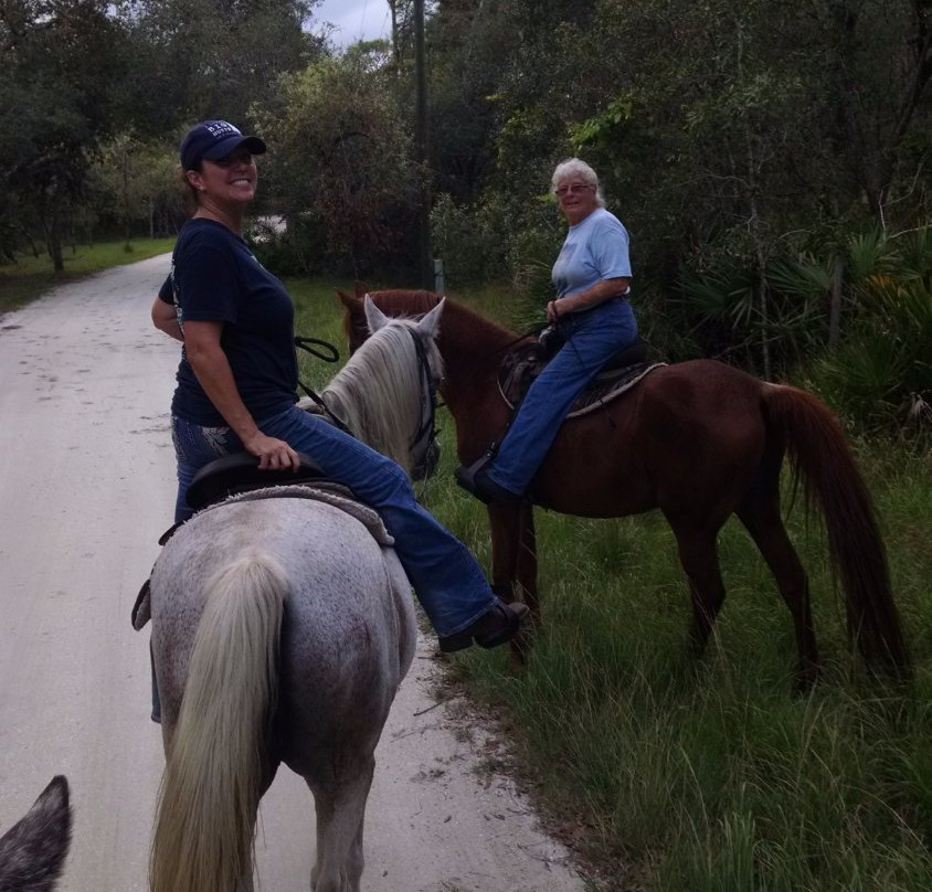 Horsespring Farm-莱克威尔士必去景点