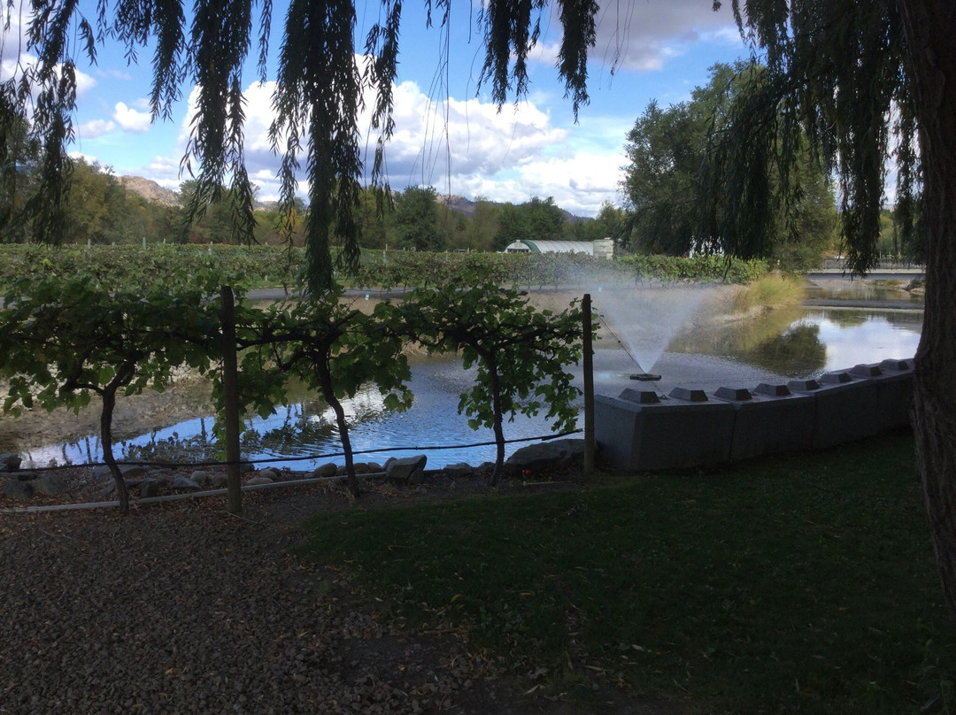 Silver Sage Winery Luxury B&B主图