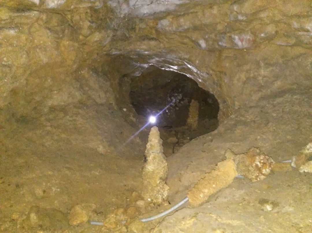 Risovaca Cave-Arandjelovac必去景点