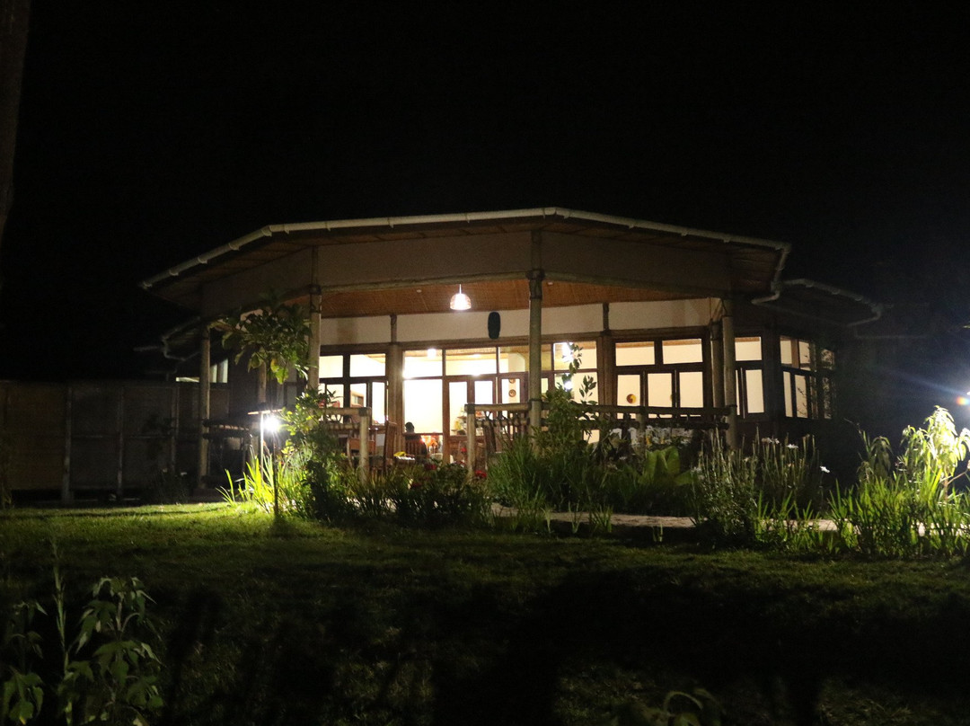 伊朱米比黑猩猩小屋