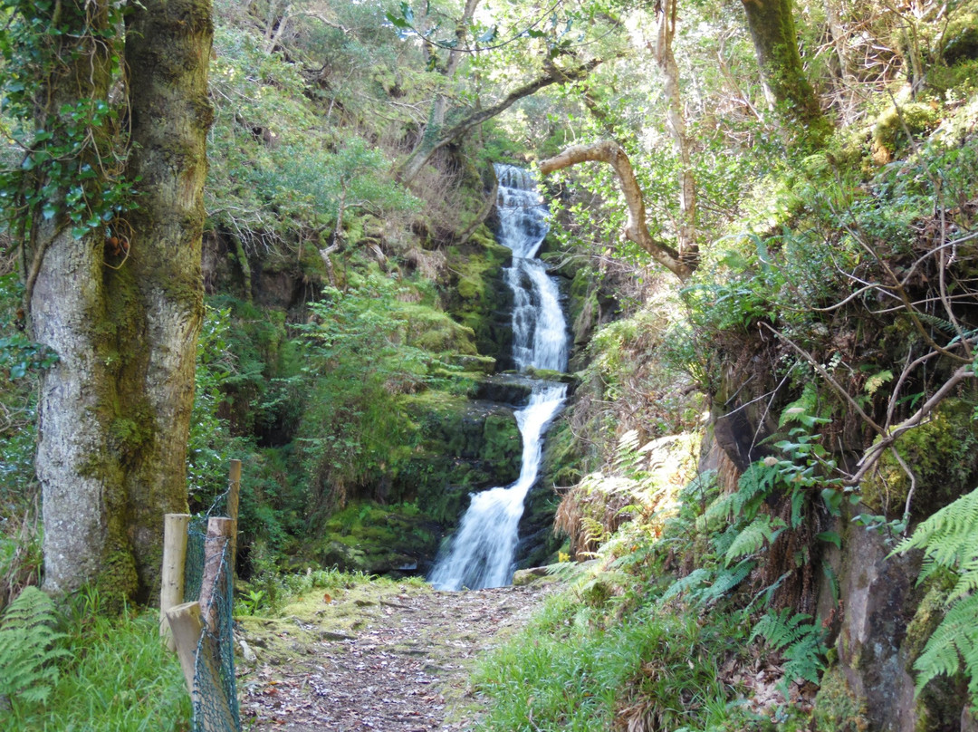 Beaufort旅游景点-O'Sullivan's Cascade