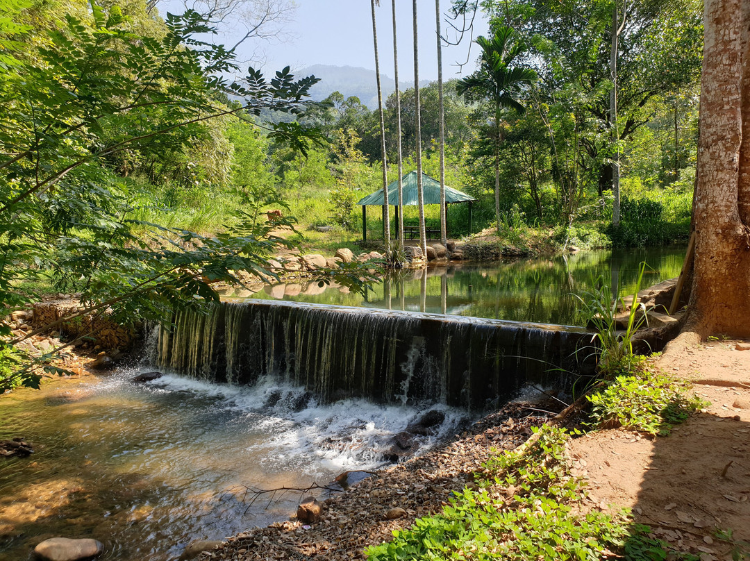 Koslanda酒店住宿-Nature Hub Koslanda