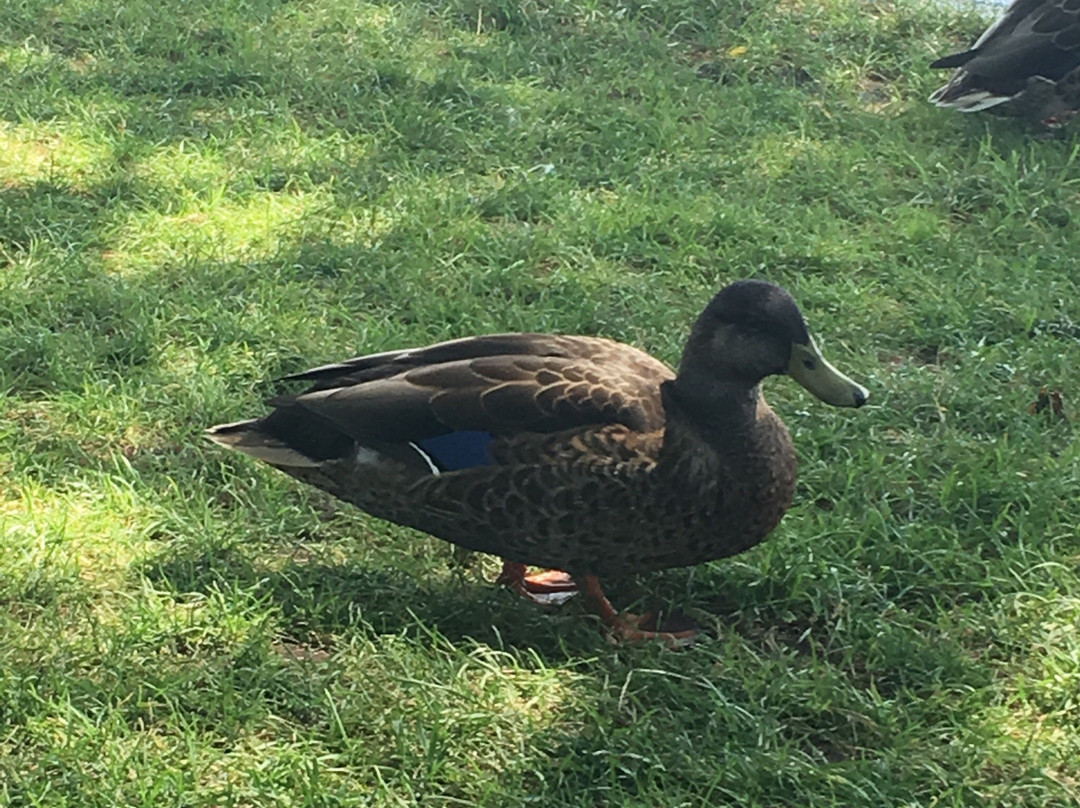 Breezy Picnic Grounds & Waterslides-Douglas必去景点