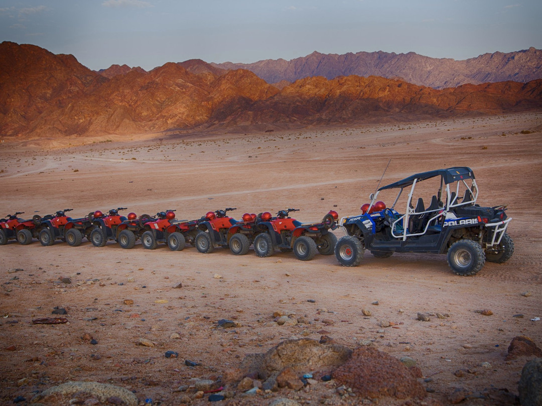 El Sherif Safari-沙姆沙伊赫必去景点