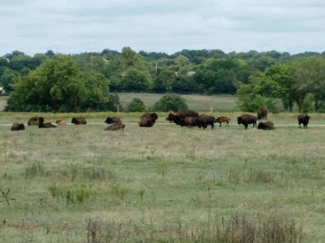 Pawnee Bill's Ranch, Museum and Wild West Show-Pawnee必去景点