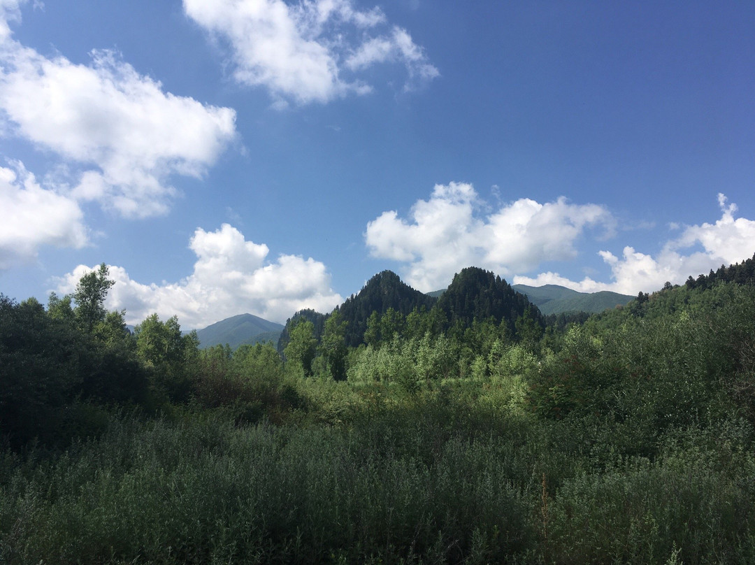 松鸣岩国家森林公园景点图片