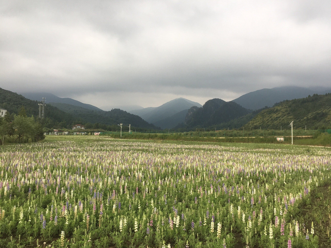 松鸣岩国家森林公园景点图片