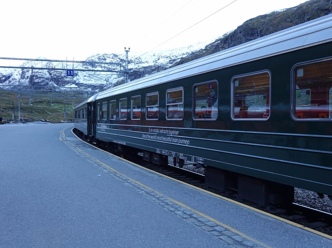 Myrdal Station景点图片