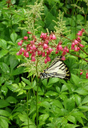 Morrill Homestead-Strafford必去景点