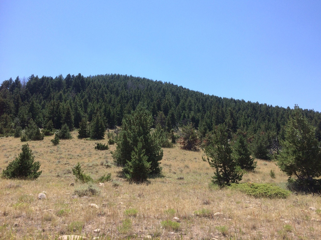 Pryor Mountains-比灵斯必去景点