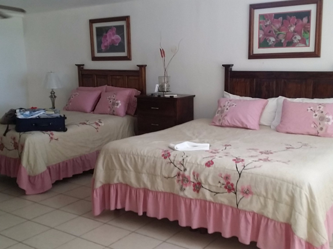 Freedom Shores主图