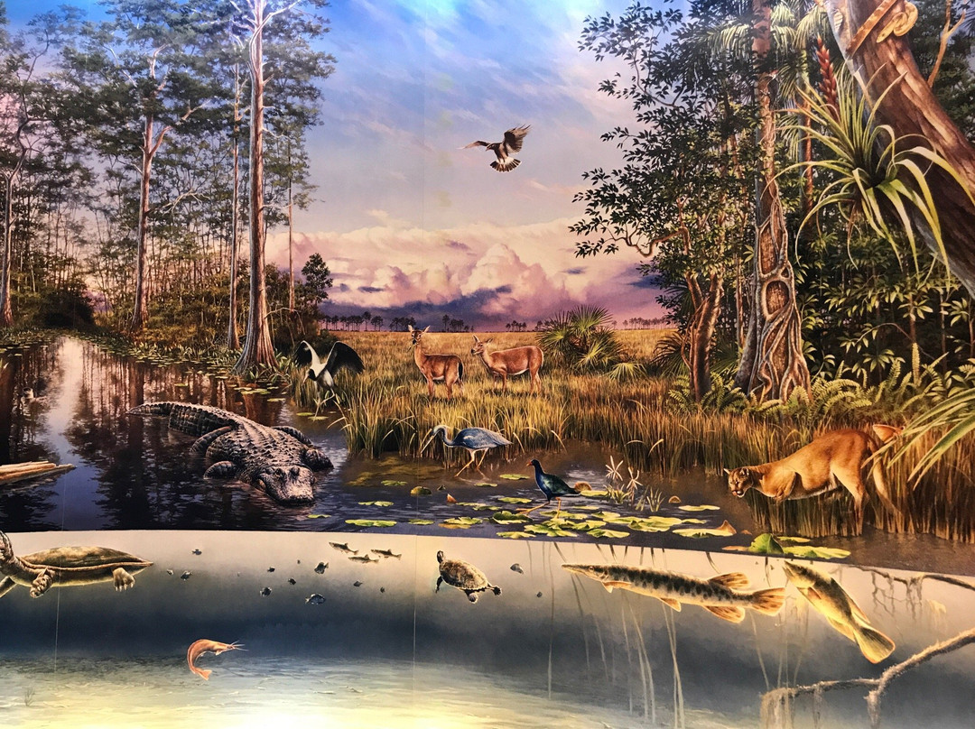 Snake Bight-大沼泽国家公园必去景点