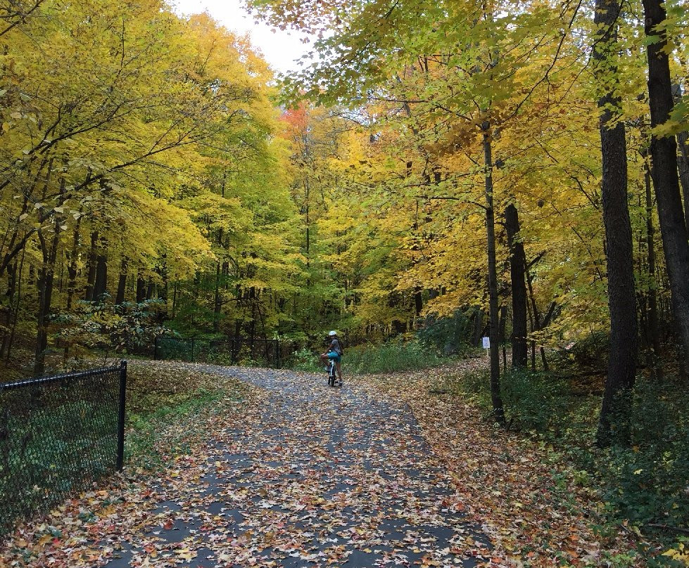Fish Lake Regional Park-Maple Grove必去景点