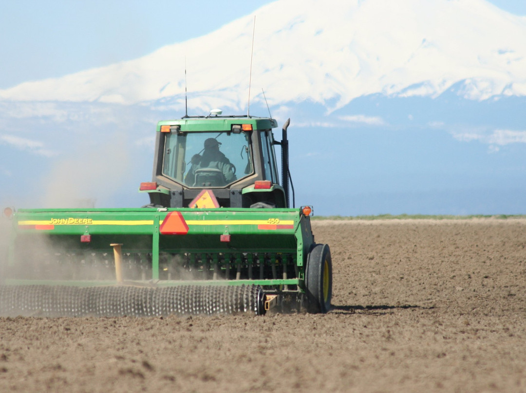 Mecca Grade Estate Malt & Tap Room-Madras必去景点