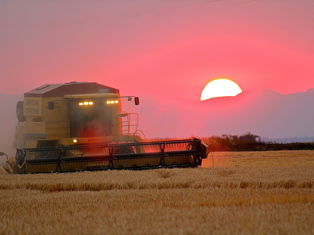 Mecca Grade Estate Malt & Tap Room-Madras必去景点